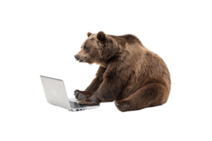 The bear shifts slightly, engrossed in the laptop screen, creating a playful juxtaposition of wild nature and modern technology. A curious and quirky pose png