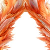 Decorative Feathers Frame Transparent Background png