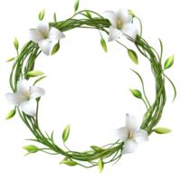 Floral Frame Transparent Background png