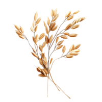 Rustic Wheat Stems Transparent Background png