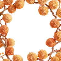 Rustic Dried Lychee Frame Transparent Background png