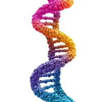Abstract molecular DNA model transparent image. Double helix isolated cutout 3d render. Colorful gradient spheres. Evolution, scientific research cut out clipart design element png