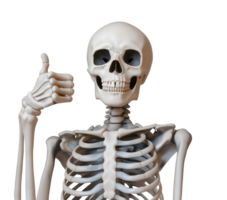 Skeleton making thumb-up gesture with wide toothy grin transparent image. Humorous anatomical model isolated cutout 3d render. Skeletal gesture cut out clipart design element png