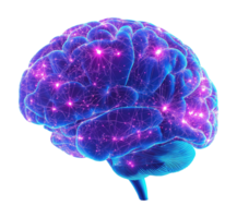 Neural network digital brain transparent image. Human cognition isolated cutout 3d render. Neuroscience study. Cognitive science. Mental processing cut out clipart design element png