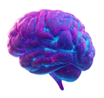 Futuristic purple brain with blue pink neural networks transparent image. Cognitive science isolated cutout 3d render. Artificial intelligence cut out clipart design element png