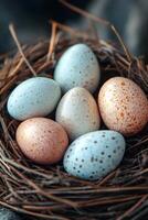 Decorative eggs arranged in a bird nest with soft feathers, warm natural tones, copy space photo