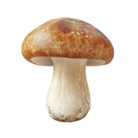 A Realistic Detailed Image of a Single Mushroom Displayed png