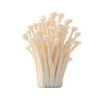 A close up image of a bunch of fresh mushrooms isolated on transparent background png