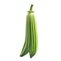 A close up view of a green ridged vegetable stem isolated on transparent background png