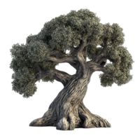 A large aged tree with lush foliage and twisted trunk isolated on transparent background png