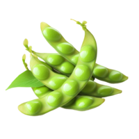 Several open green pods containing multiple bright green seeds isolated on transparent background png