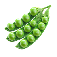 Freshly picked green peas displayed inside their open pod shells png
