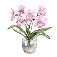 A beautiful watercolor painting of orchids in a glass container png
