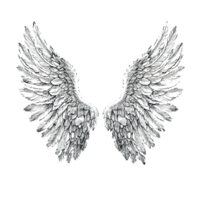 A detailed sketch of two symmetrical feathery wings on a dark background png