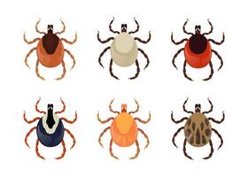 Six different colored mites, types of ticks, dangerous insects transmit diseases, on white background vector