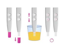 Step by step guide on how to correctly perform a pregnancy test, dipping it in urine and interpreting the results, positive and negative vector