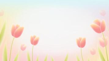 Delicate floral background. Mesh gradient tulips for graphic design. abstract background with aura, soft overlay vector
