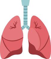 Anatomically accurate representation of human lungs in vibrant colors with a flat design style showcasing detailed structures in illustration vector