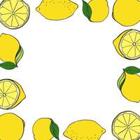 Lemons square frame. Bright summer template with citrus fruits. graphic line ink illustration with empty space for text. Design for card or banner vector