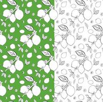 Citric lemon branches with leaves and white flowers seamless pattern. graphic line ink black and white illustration on transparent background. Ideal for menu, package, cosmetic, textile, cards vector