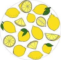 Lemon slice and whole with green leaves circle round composition. Graphic line ink yellow illustration isolated on transparent background. ideal for menu and package designs vector