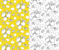 Pattern with citric lemons on the branches. Ripe lemons on branches with leaves in a black and white seamless art. Graphic line ink illustration for package, kitchen design, fabric and textile vector