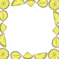 Lemons slice square frame. Bright summer template with yellow citrus fruits. graphic line ink illustration with empty space for text. Ideal for menu, package, cosmetic, textile, cards vector
