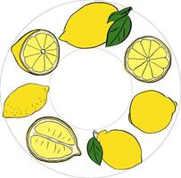 Lemon whole and slices with leaves Circle round frame with an empty text place. Banner, poster, wrapping paper, sticker, print, modern textile design. graphic line ink yellow illustration. vector
