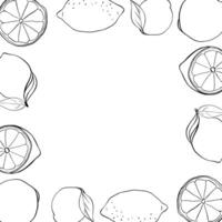 Lemons whole and slices square frame. Black and white template with citrus fruits. graphic line ink illustration with empty space for text. Design for card or banner vector