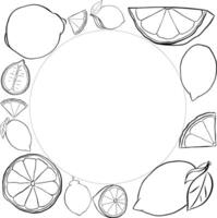 Lemons whole and slices with leaves square frame. Black and white template citrus fruits. graphic line ink illustration with empty space for text. Sample poster, party invitation, postcard. vector