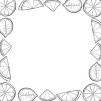 Lemons slice square frame. Black and white template with citrus fruits. graphic line ink illustration with empty space for text. Ideal for menu, package, cosmetic, textile, cards vector