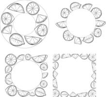 Lemon slice circle round frame set drawing. Citrus fruit circle and square label template. graphic line ink black and white illustration for packaging, tea, juice, natural cosmetics, lemonade vector