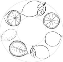 Lemon whole and slices with leaves Circle round frame with an empty text place. Banner, poster, sticker, print, modern textile design. graphic line ink black and white illustration. vector