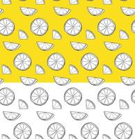 Lemon citric slices seamless pattern. black and white graphic line ink illustration on transparent background. Ideal for menu, package, cosmetic, textile, cards vector