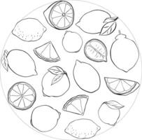 Lemon slice and whole with leaves circle round composition. Graphic line ink black and white illustration isolated on transparent background. ideal for menu and package designs. vector