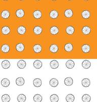 lemon Citric orange slices seamless pattern. Graphic line ink black and white illustration isolated on transparent background. art for food design, recipe, cook book, packages, menu vector