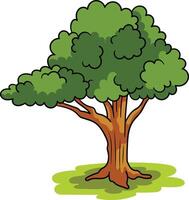 Realistic Green Tree on White Background vector