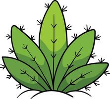 Cactus resembling an agave or aloe plant, with pointed green leaves and small black spines, growing from the ground vector