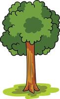 Beautiful Tree in Spring vector