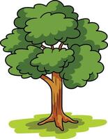 Abstract Tree with Leaves vector