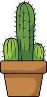 A potted cactus illustration featuring a tall central cactus with two smaller round cacti on the sides vector
