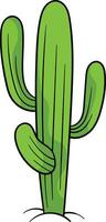Saguaro cactus with multiple tall, green arms and vertical ridges vector