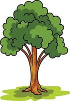 Tree with green leaves Illustration. Tree Design. Green Tree Illustration vector
