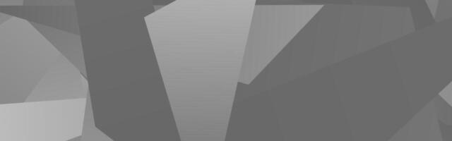 Abstract geometric pattern in shades of gray with angular shapes and lines vector