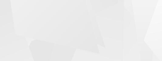 Abstract white geometric pattern with subtle triangles and angles vector
