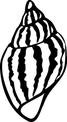 Spiral seashell in black color, shell icon