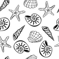 Marine pattern with different seashells on a transparent background, seamless pattern with aquatic elements vector