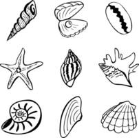 Set of 9 seashells, different shell icons in black color, aquatic elements and seafood vector