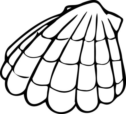 Seashell in black color, conch icon