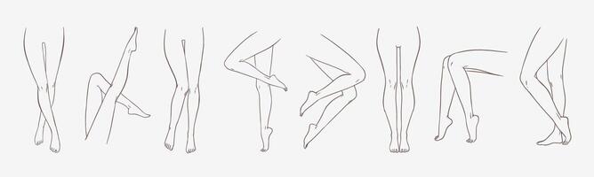 Bundle of female legs in different poses or postures hand drawn with contour lines. Collection of elegant drawings of women's feet isolated on white background. Monochrome illustration. vector